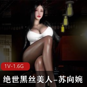 VAM绝世黑丝美人苏向婉：酒吧相遇，清晰动人1V-1.6G